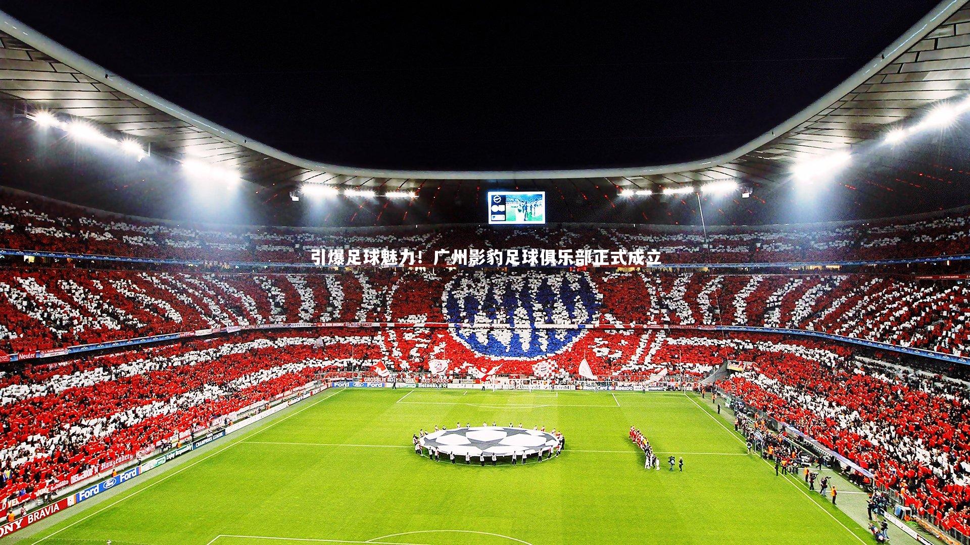 芒果体育平台|引爆足球魅力！广州影豹足球俱乐部正式成立